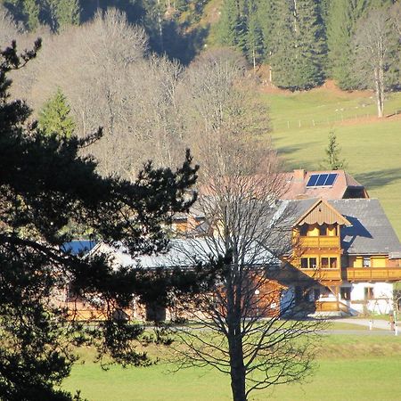 Obergrabnerhof Appartement Ramsau am Dachstein Buitenkant foto